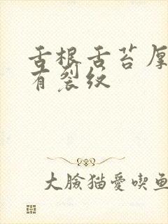 舌根舌苔厚黄腻有裂纹