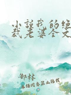 小说我的绝美总裁老婆全文阅读