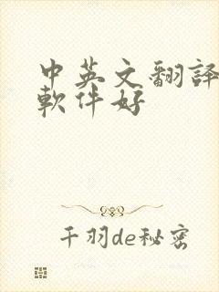 中英文翻译哪个软件好