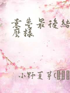 袁梦最后结局怎么样