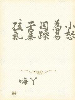 孩子因为小事脾气暴躁易怒