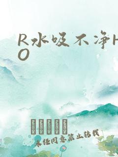 R水吸不净HPO