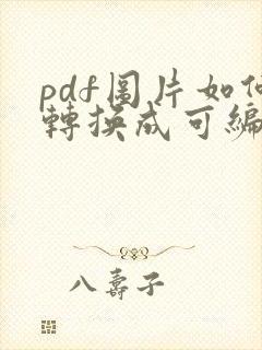 pdf图片如何转换成可编辑