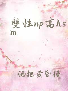 双性np高hsm