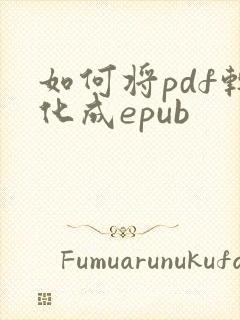 如何将pdf转化成epub