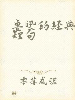 鲁迅的经典名句短句