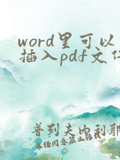 word里可以插入pdf文件吗