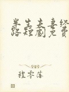 半生夫妻终成陌路短剧免费观看全集