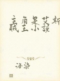 主角是艾斯的海贼王小说