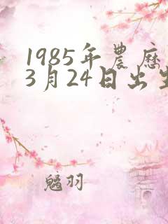 1985年农历3月24日出生人的命运