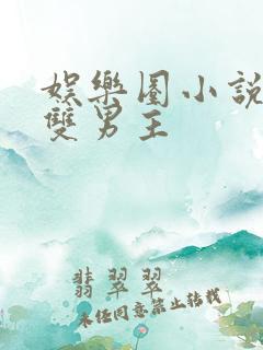 娱乐圈小说推荐双男主