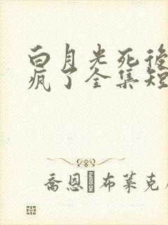 白月光死后江总疯了全集短剧