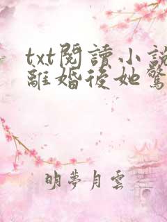 txt阅读小说离婚后她惊艳了世界