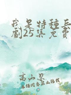 我是特种兵电视剧25集免费观看