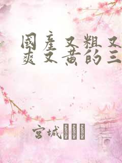 国产又粗又猛又爽又黄的三级视频