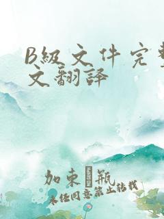 B级文件完整中文翻译