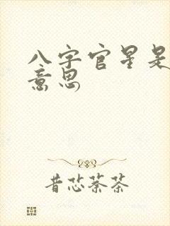 八字官星是什么意思
