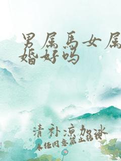 男属马女属鸡结婚好吗