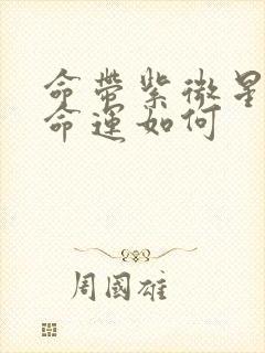 命带紫微星的人命运如何