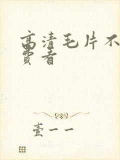 高清毛片不卡免费看