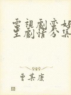 电视剧蛮好的人生剧情分集介绍