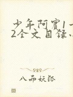 少年阿宾1一72全文目录小说