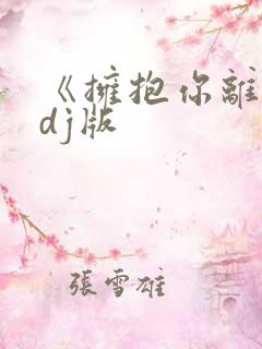 《拥抱你离去》dj版