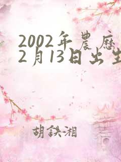 2002年农历2月13日出生的男孩命运