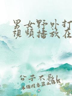 男女野外打野战视频播放在线