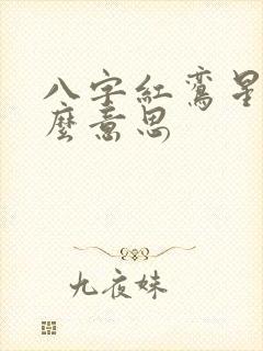 八字红鸾星是什么意思
