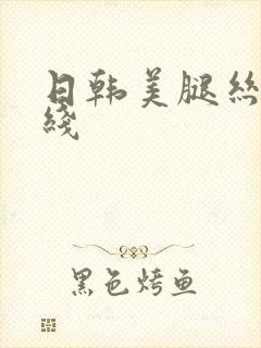 日韩美腿丝袜在线