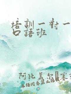 培训一对一英语口语班