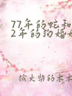 77年的蛇和82年的狗婚姻