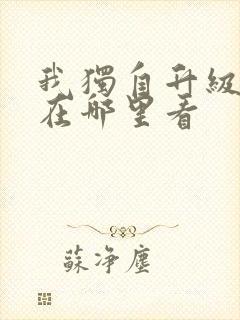 我独自升级动画在哪里看