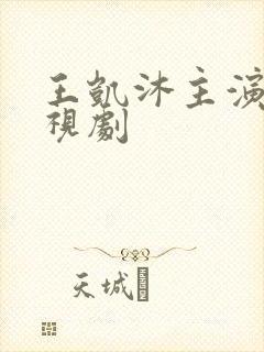 王凯沐主演的电视剧