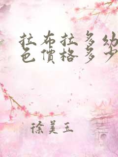 拉布拉多幼犬黑色价格多少钱一只