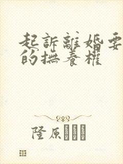起诉离婚要孩子的抚养权