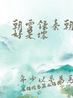 朝雪录秦朝羽是好是坏