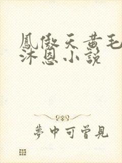 凤傲天黄毛反派沐恩小说