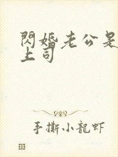 闪婚老公是顶头上司