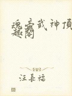 魂帝武神顶点笔趣阁