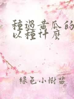 种过黄瓜的地可以种什么