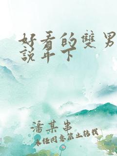 好看的双男主小说年下