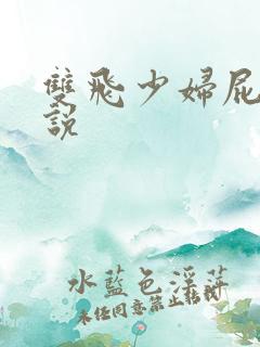 双飞少妇屁眼小说