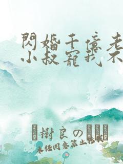 闪婚千亿老公,小叔宠我不停在线