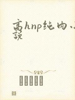 高hnp纯肉小说
