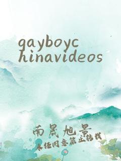 gayboychinavideos