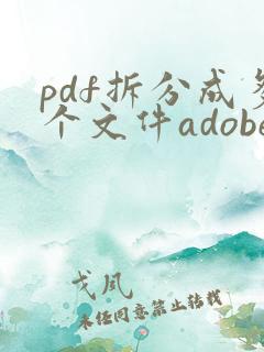 pdf拆分成多个文件adobe