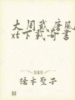 大周武唐风流txt下载奇书网