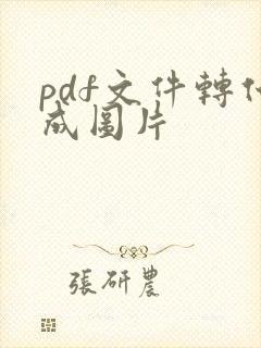pdf文件转化成图片